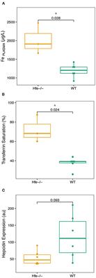 Hfe Gene Knock-Out in a Mouse Model of Hereditary Hemochromatosis Affects Bodily Iron Isotope Compositions